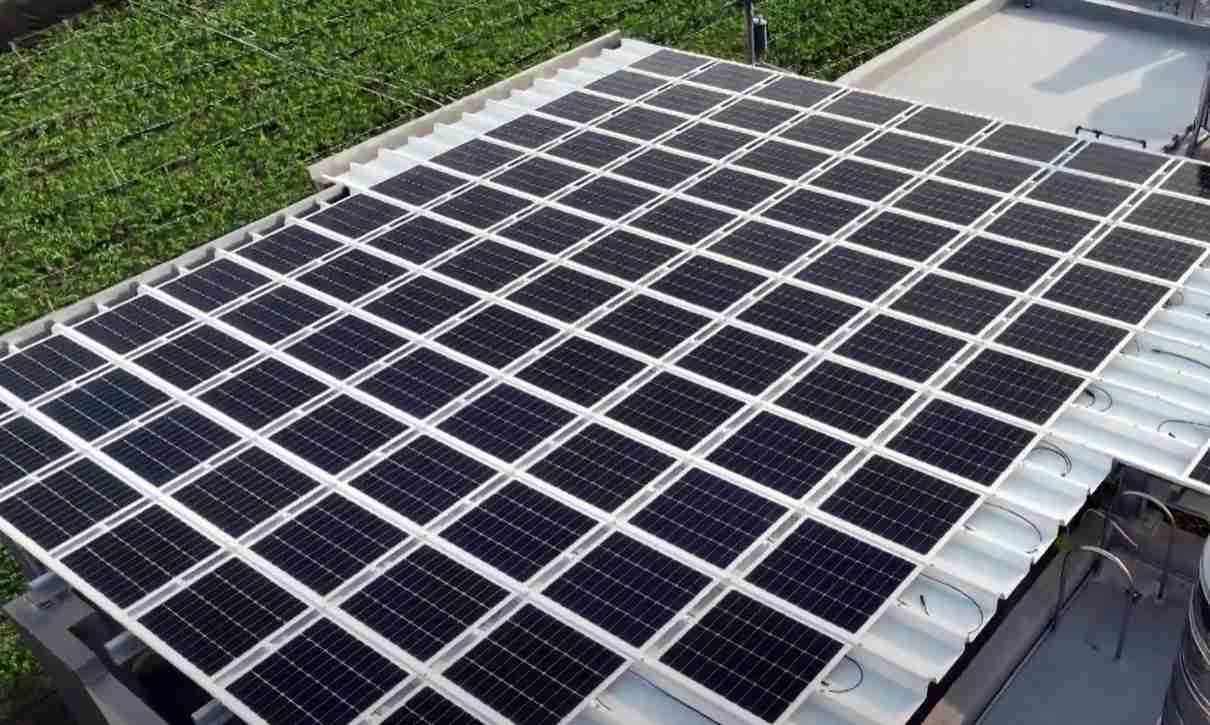 彩神vllSunSteel光电浪板升级双玻结构，，，，以提升机械负载强度及气候耐候度，，，可广泛运用于多元场域