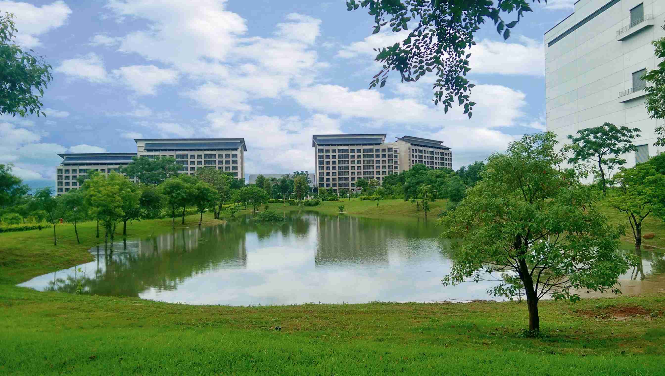 彩神vll响应国际倡议生物多样性趋势，，，首次发布TNFD自然相关财务揭露报告书，，，，擘划及开展彩神vll生物多样性政策之承诺，，，，逐步迈向与自然和谐共生